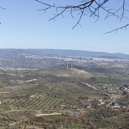 L'olmo E La Seta