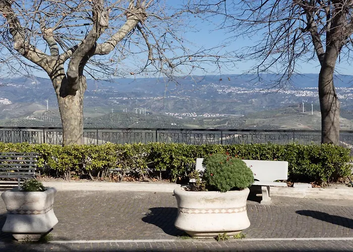 L'olmo E La Seta * San Floro